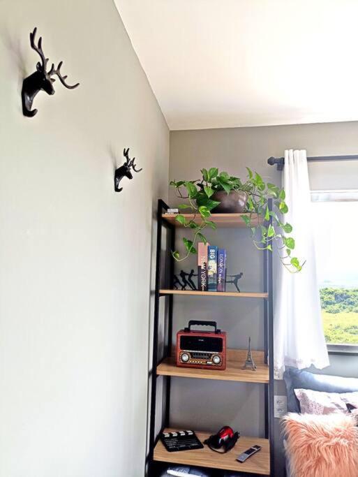 Tiny House Paraiso Minicasas Com Hidromassagem Pouso Alegre Buitenkant foto