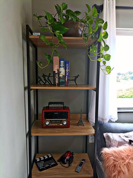 Tiny House Paraiso Minicasas Com Hidromassagem Pouso Alegre Buitenkant foto